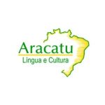 aracatubrasil.com.br